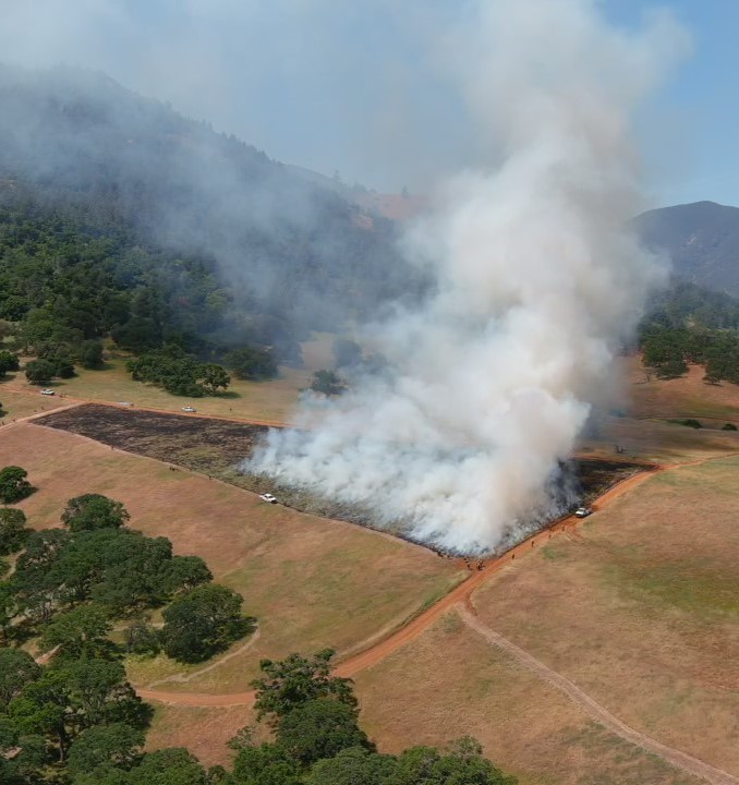 Smoke rising from plot being burned